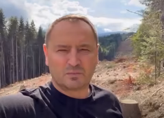 На Закарпатті нардеп Михайло Лаба заявив про необхідність перевірити масштабні лісові роботи поблизу Жденієва